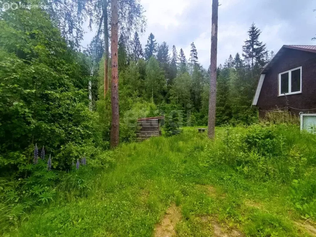 Дом в Сосновское сельское поселение, массив Новожилово, садоводческое ... - Фото 1