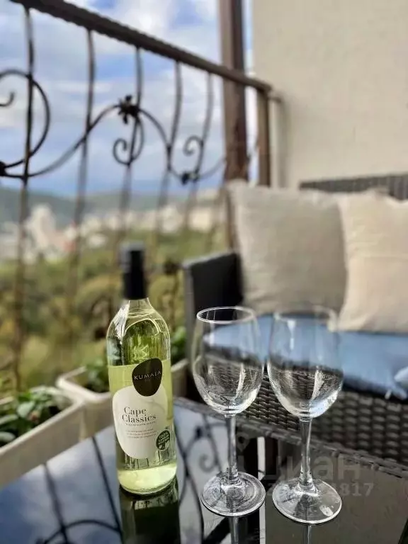 1-к кв. Краснодарский край, Сочи Новый Сочи мкр, ул. Санаторная, 48Б ... - Фото 2