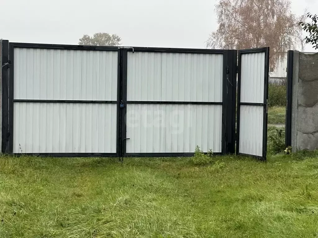 Участок в Калининградская область, Балтийск пос. Мечниково,  (54.0 ... - Фото 2