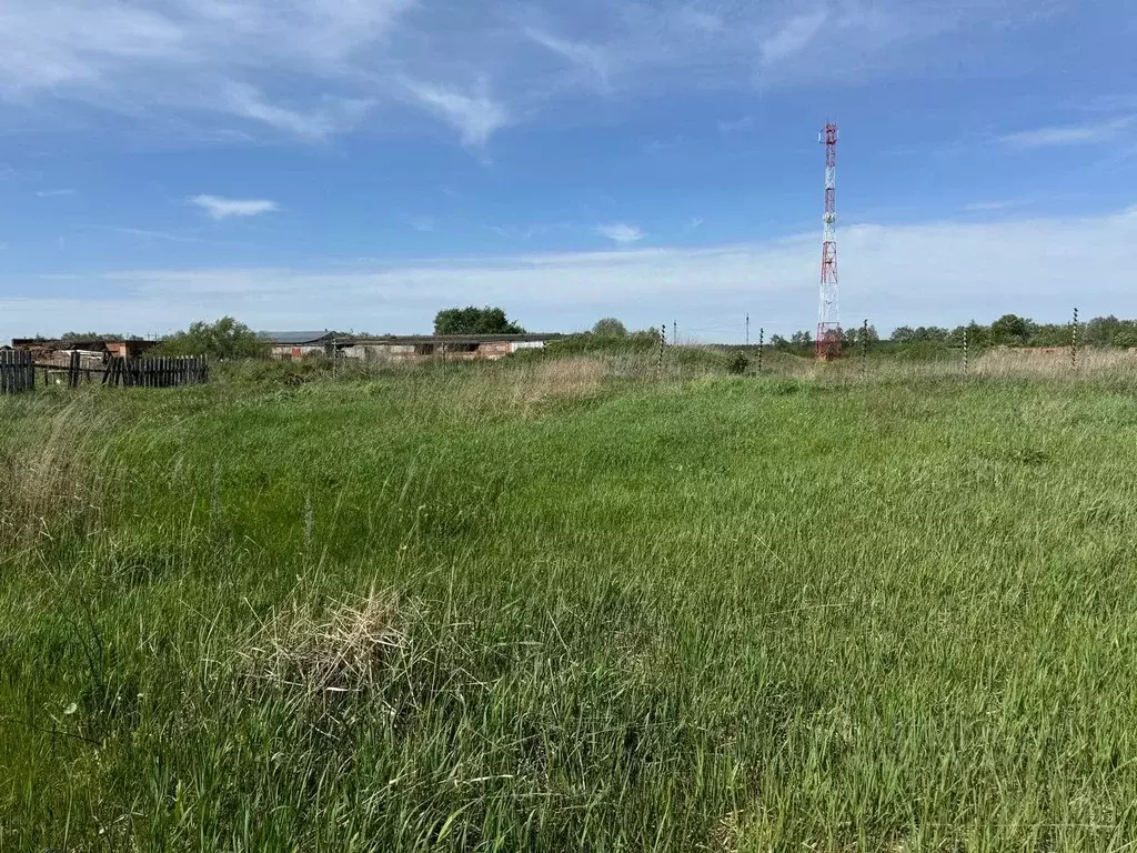 Участок в Московская область, Богородский городской округ, д. Зубцово  ... - Фото 2