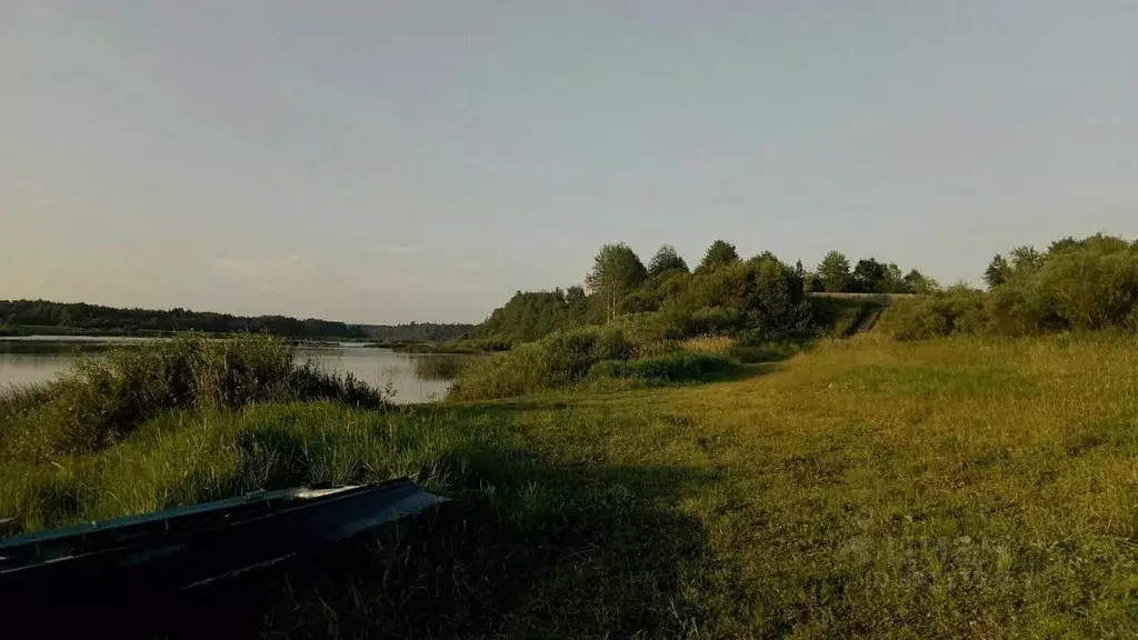 Участок в Вологодская область, Сокольский муниципальный округ, с. ... - Фото 1