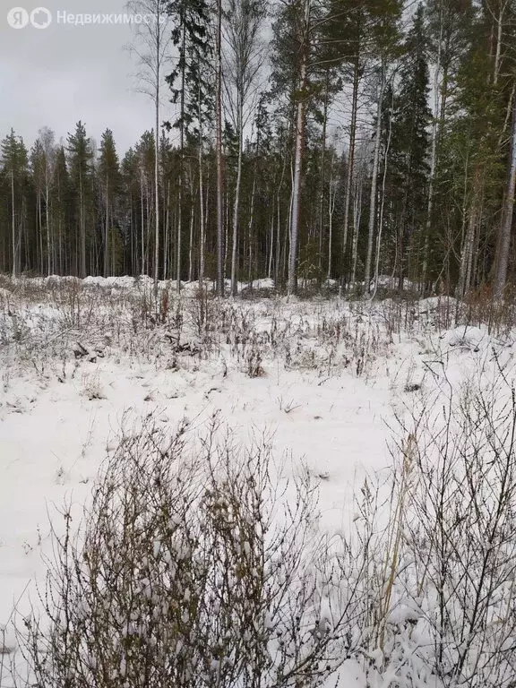Участок в посёлок городского типа Краснозатонский, 1-я линия (12 м) - Фото 1