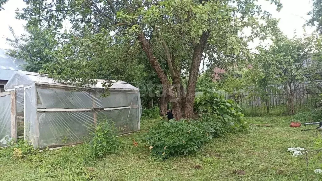 Участок в Брянская область, Брянский район, Супоневское с/пос, с. ... - Фото 2