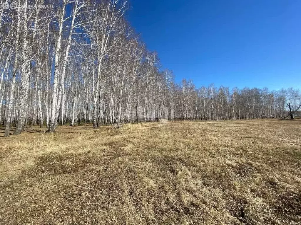 Участок в Курганская область, Кетовский муниципальный округ, деревня ... - Фото 0