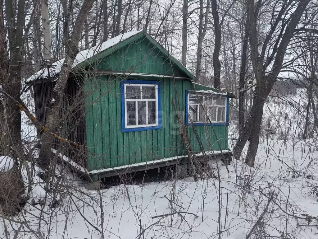 Участок в Белгородская область, Алексеевский муниципальный округ, ... - Фото 1