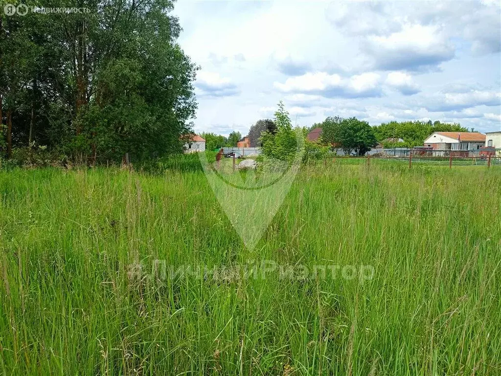 Участок в Рязанская область, Спасский муниципальный округ, село ... - Фото 2