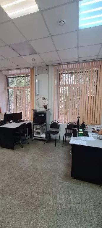 Офис в Челябинская область, Челябинск ул. Воровского, 34а (19.3 м) - Фото 1