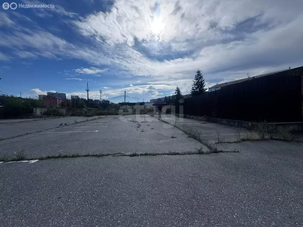 Торговая площадь (100 м) - Фото 1