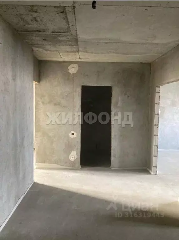 2-к кв. Новосибирская область, Новосибирск ул. Дуси Ковальчук, 244 ... - Фото 1