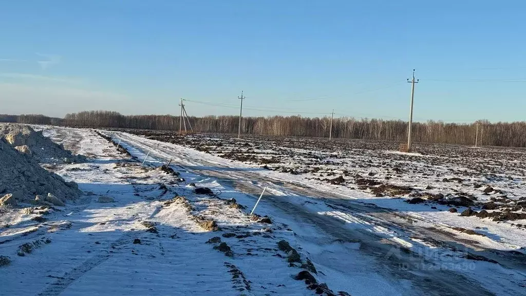 Участок в Тюменская область, Тюменский район, Горьковское ... - Фото 1