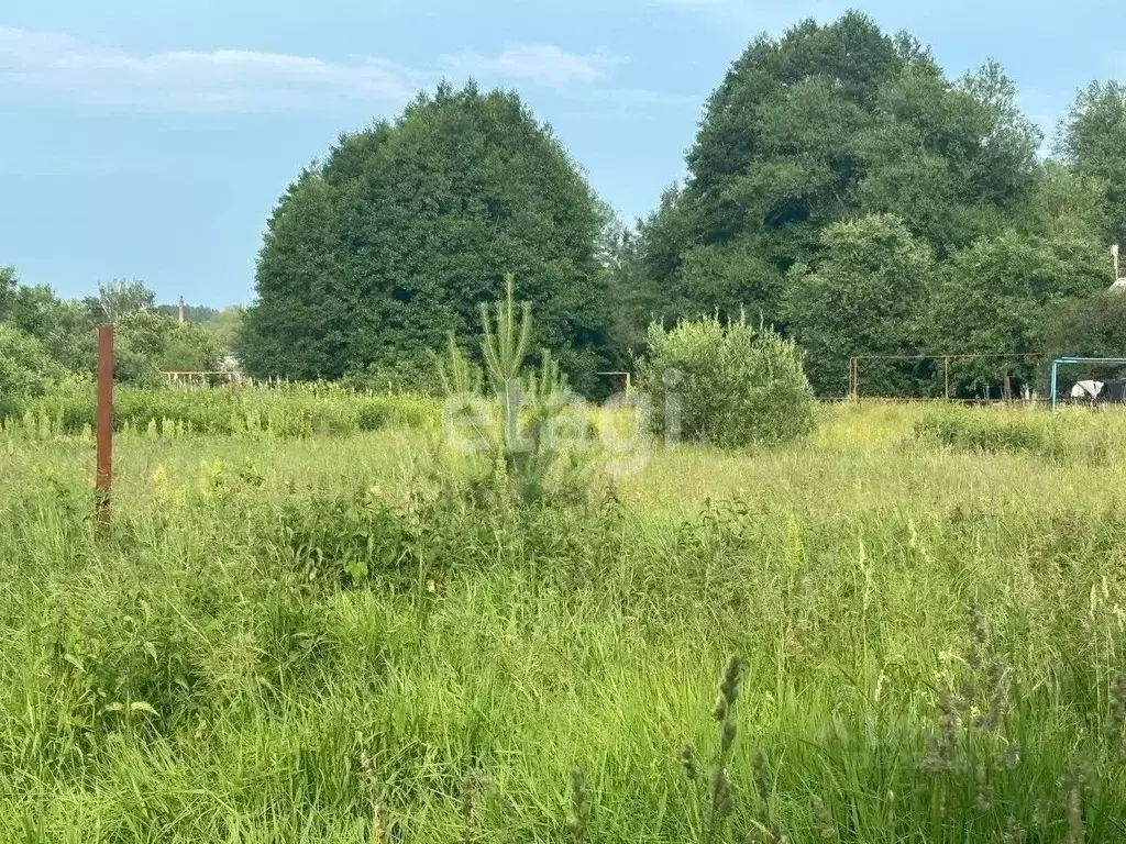 Участок в Мордовия, Ичалковский район, пос. Смольный Солнечная ул., 5 ... - Фото 2