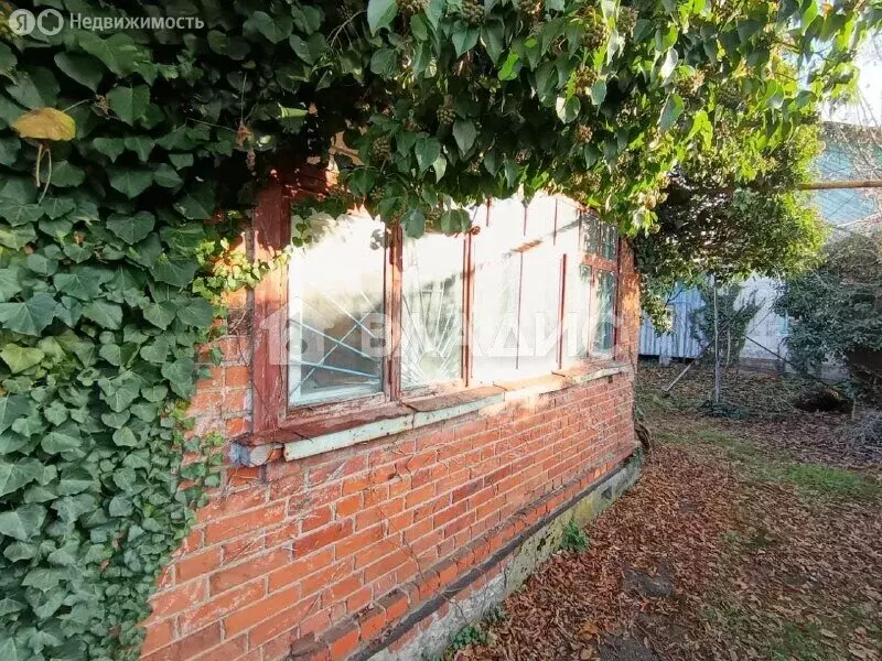 Дом в Майкоп, ДНТ Дружба, Набережная улица (24 м) - Фото 1