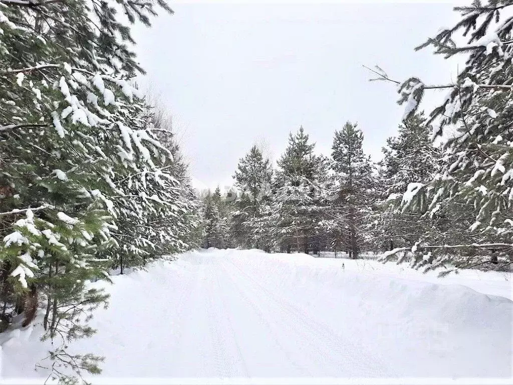 Участок в Владимирская область, Владимир Миловка СТ,  (61.3 сот.) - Фото 1