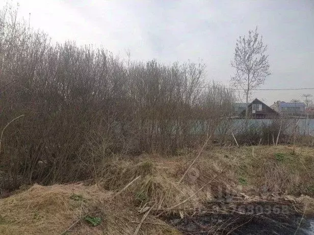 Участок в Московская область, Солнечногорск городской округ, д. Ложки  ... - Фото 0