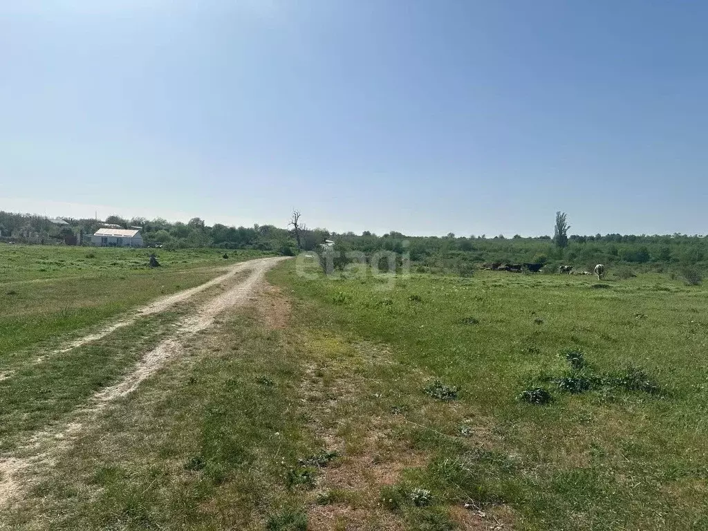 Участок в Крым, Белогорский район, с. Ароматное ул. Тенистая (15.0 ... - Фото 0