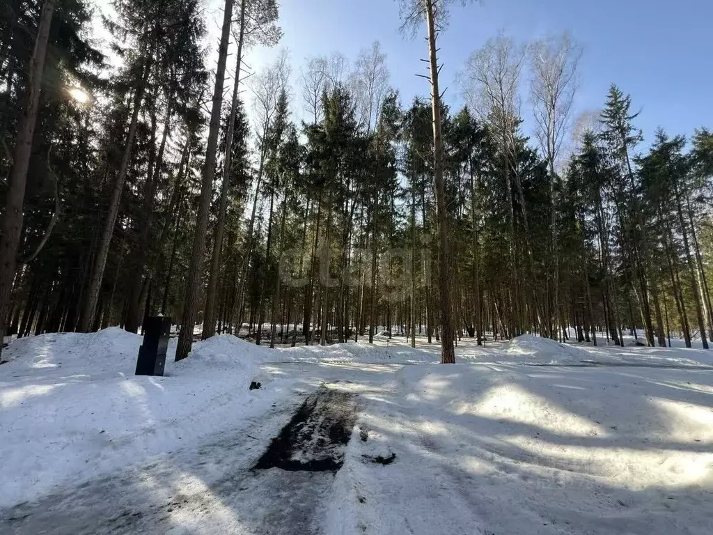 Участок в Московская область, Чехов муниципальный округ, д. Слепушкино ... - Фото 1