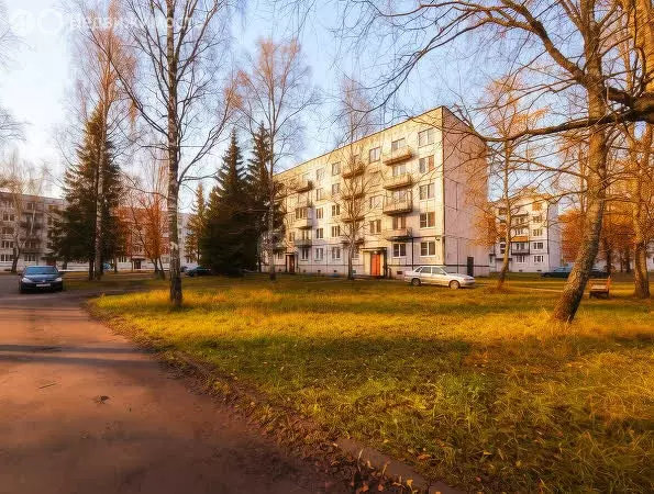 2-комнатная квартира: Гдовский район, Добручинская волость, посёлок ... - Фото 1