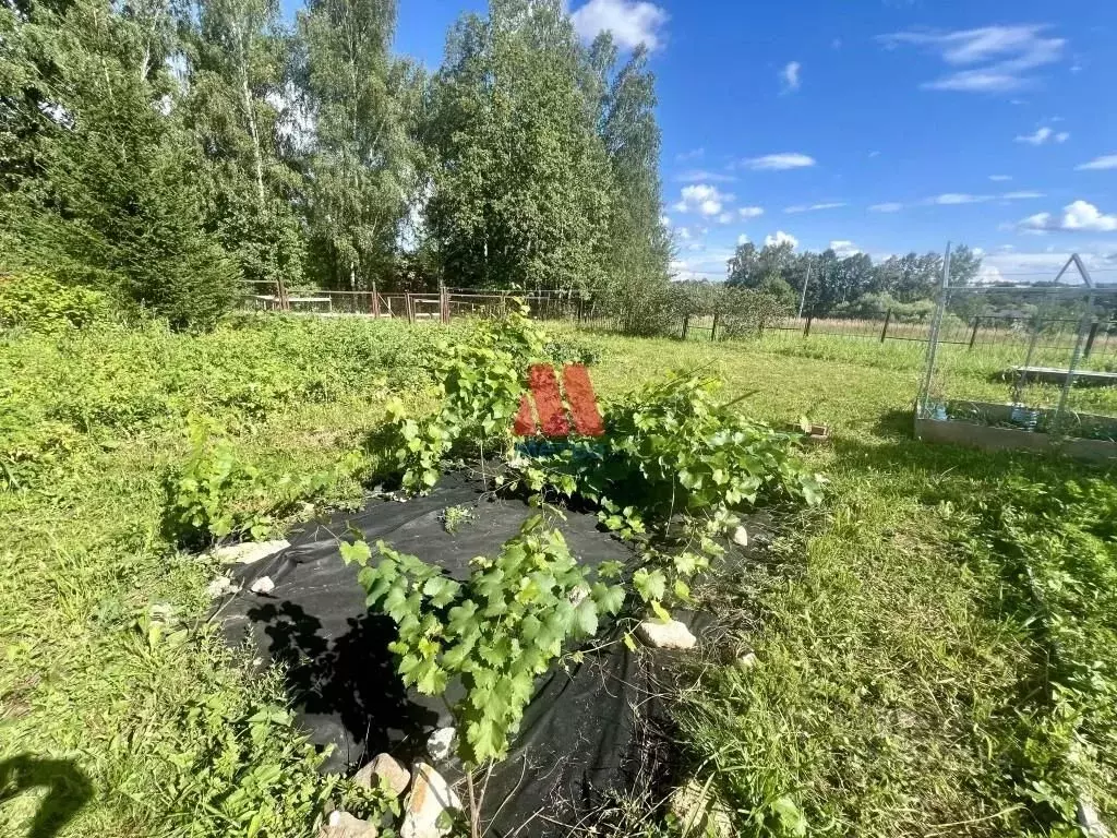 Участок в Московская область, Пушкинский городской округ, д. Талицы 97 ... - Фото 1