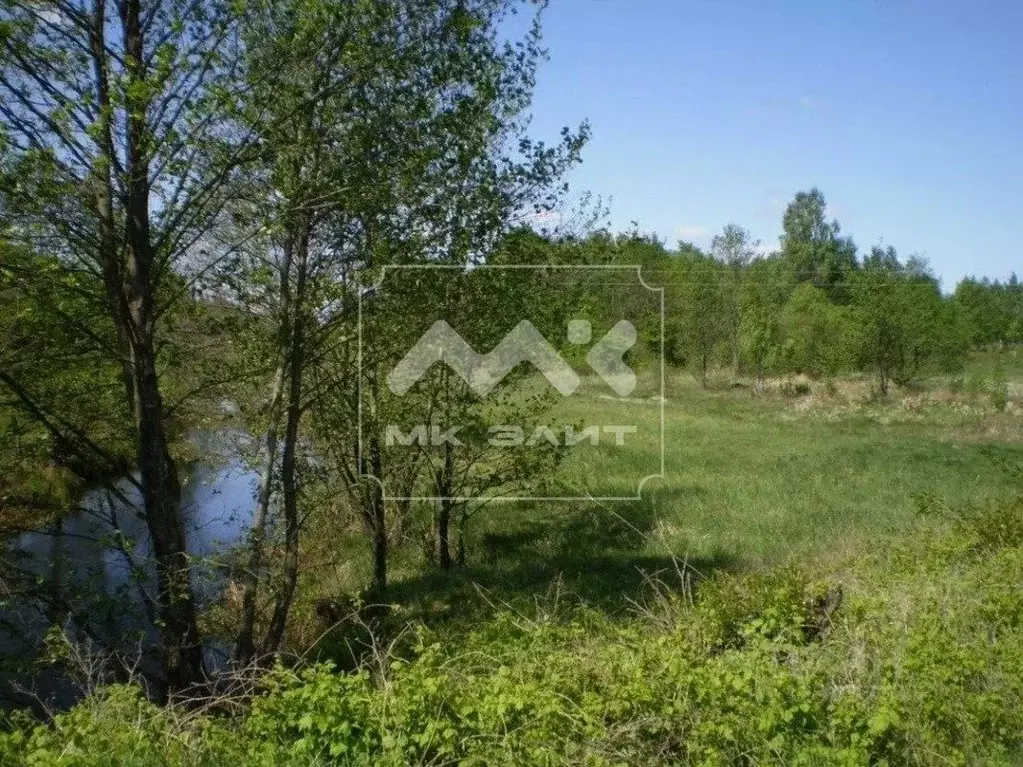 Участок в Псковская область, Пыталовский муниципальный округ, д. ... - Фото 1