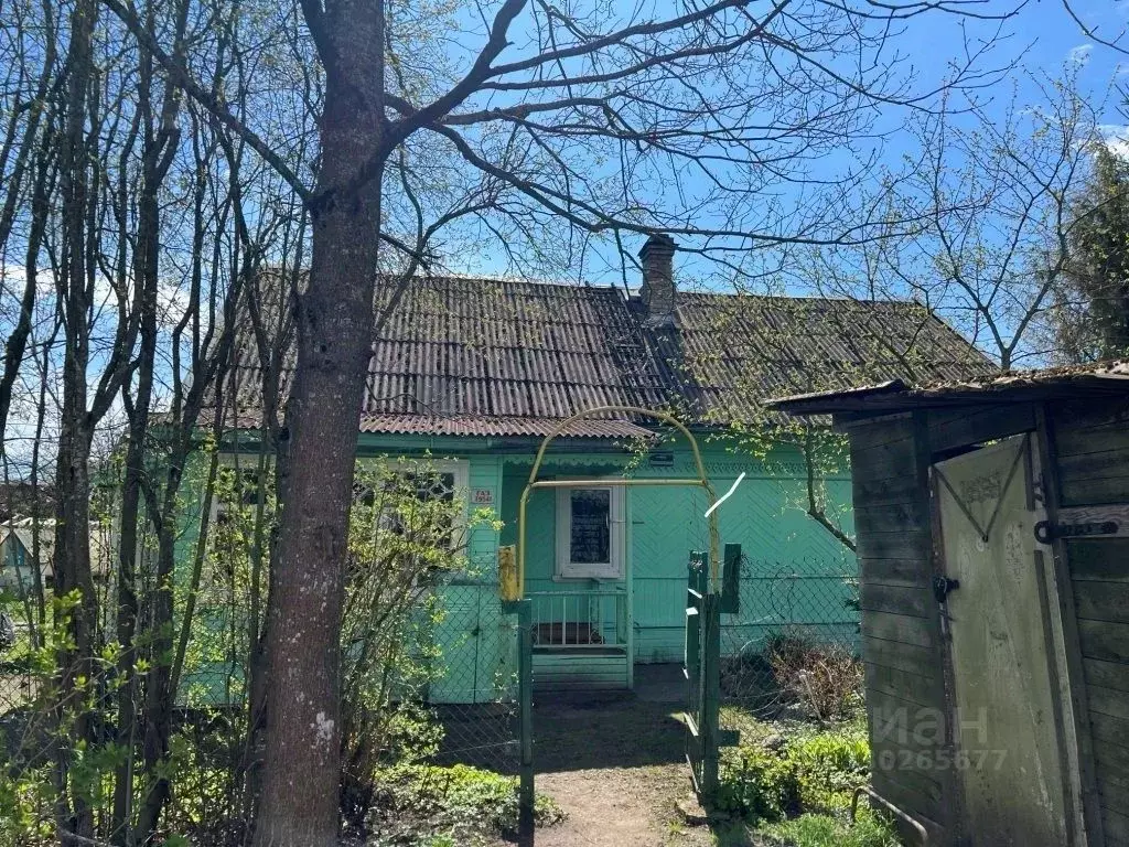 Дом в Ленинградская область, Лужский район, Толмачево городской ... - Фото 2