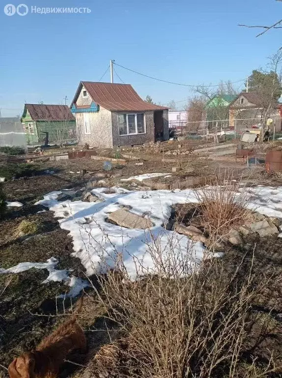 Дом в Рыбинск, СНТ Звезда (25 м) - Фото 1