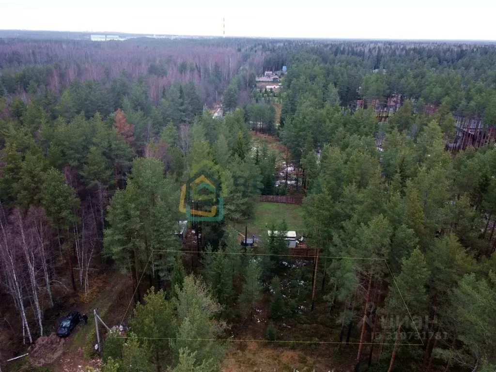 Участок в Ленинградская область, Всеволожск Солнечный Бор кп, ул. ... - Фото 1