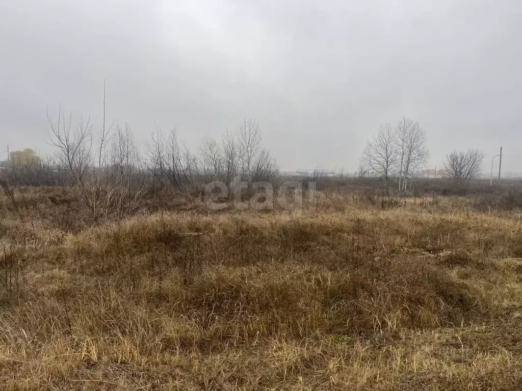 Участок в Воронежская область, Борисоглебск Лазоревая ул. (9.0 сот.) - Фото 1