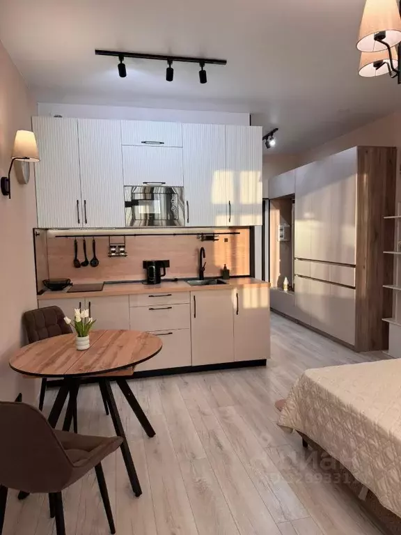 Студия Московская область, Мытищи городской округ, д. Пирогово ул. ... - Фото 1