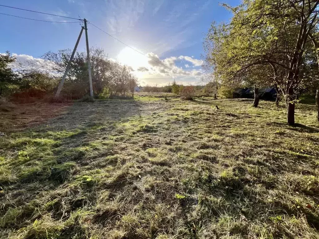 Участок в Калининградская область, Багратионовский муниципальный ... - Фото 1