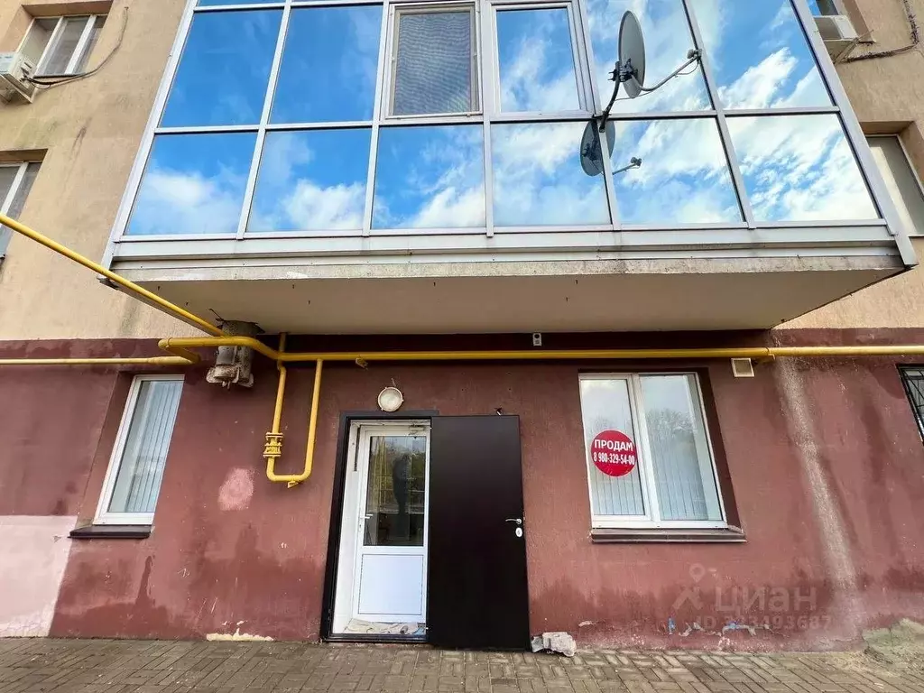 Помещение свободного назначения в Белгородская область, Белгород ул. ... - Фото 1