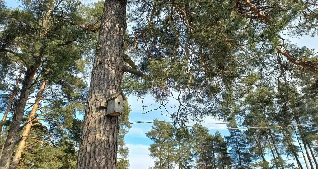 Дом в Ленинградская область, Приозерский район, Раздольевское с/пос, ... - Фото 1