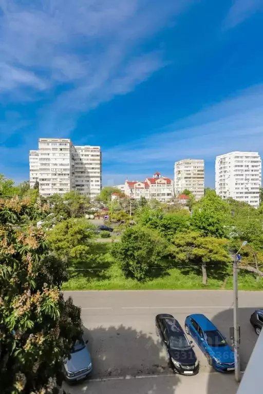 Офис в Севастополь просп. Генерала Острякова, 99А (31 м) - Фото 2