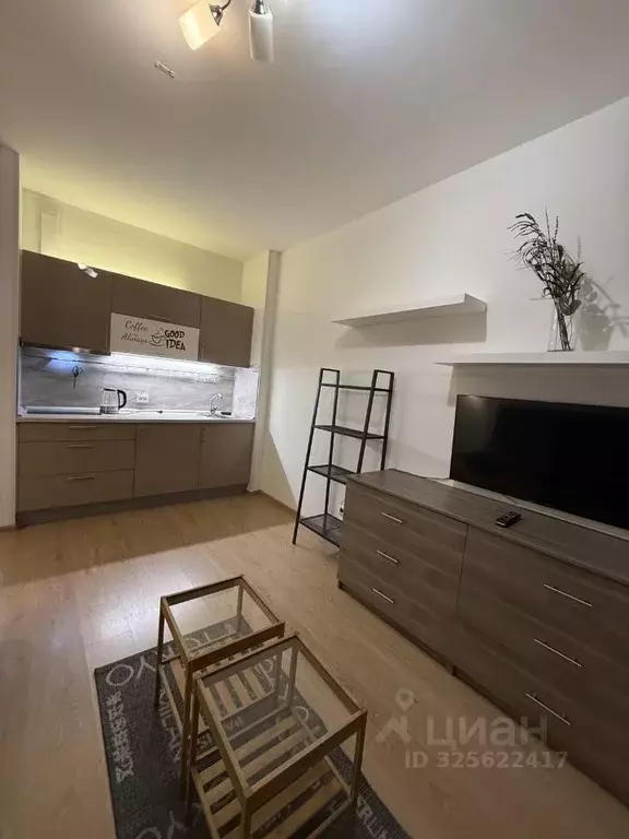 Студия Санкт-Петербург ул. Адмирала Черокова, 22 (26.0 м) - Фото 1