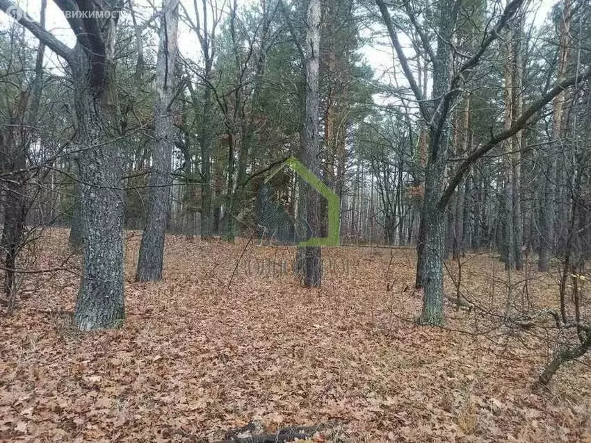 Участок в село Рамено, Советская улица (30 м) - Фото 1