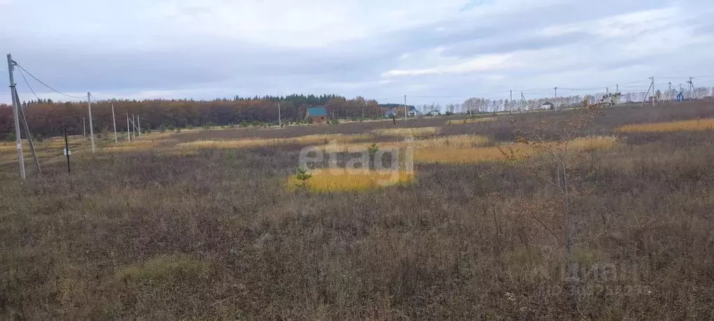 Участок в Ульяновская область, Ульяновск городской округ, с. Луговое ... - Фото 0