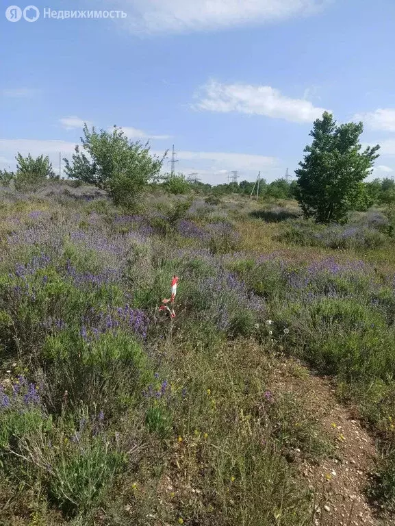 Участок в Симферопольский район, село Мазанка (7.5 м) - Фото 2