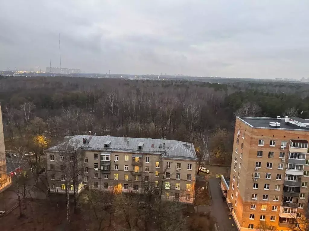 1-к кв. Московская область, Балашиха Молодежная ул., 11 (36.9 м) - Фото 1