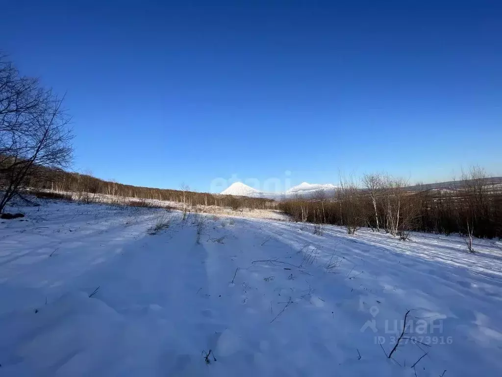 Участок в Камчатский край, Елизово Садовый мкр,  (8.1 сот.) - Фото 1