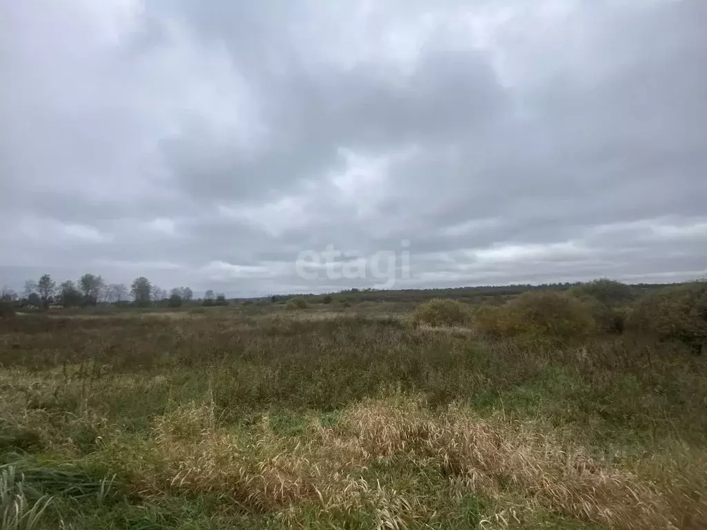 Участок в Смоленская область, Смоленский муниципальный округ, ... - Фото 0