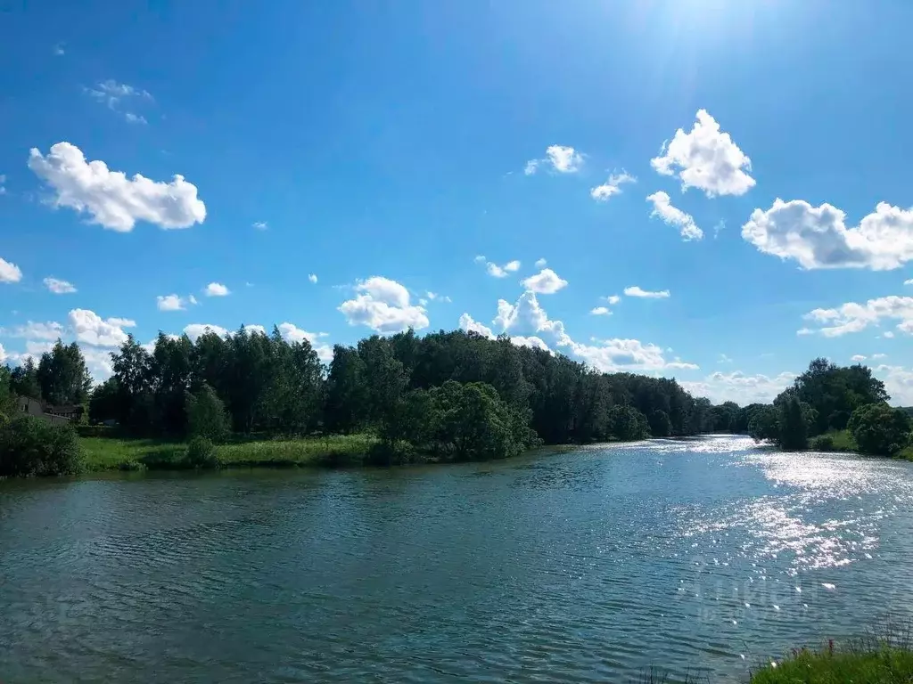 Участок в Московская область, Ступино городской округ, д. Марьинское ... - Фото 1