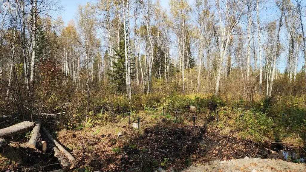 Участок в Томский район, Богашёвское сельское поселение, ДНП ... - Фото 1