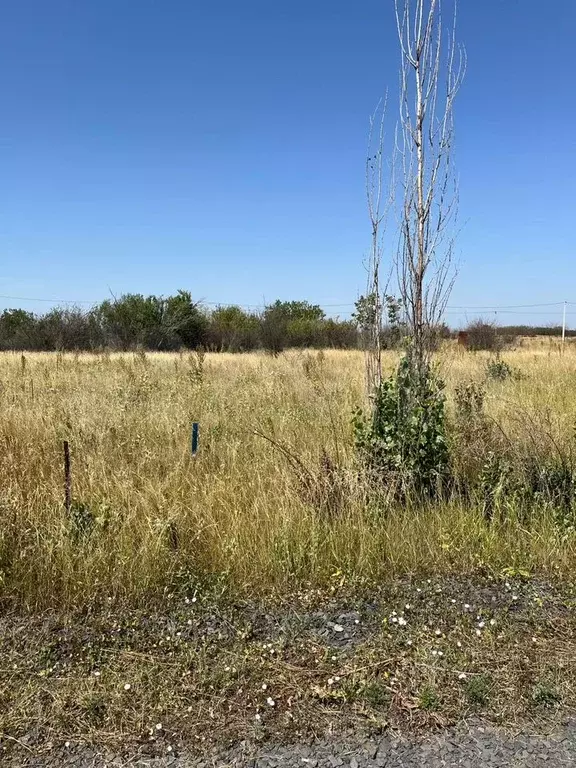 Участок 8 сот. (СНТ, ДНП) - Фото 1