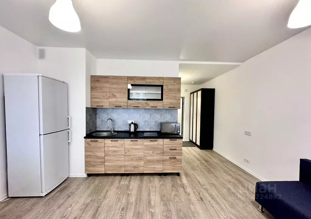 Студия Московская область, Ленинский городской округ, Мисайлово пгт, ... - Фото 2