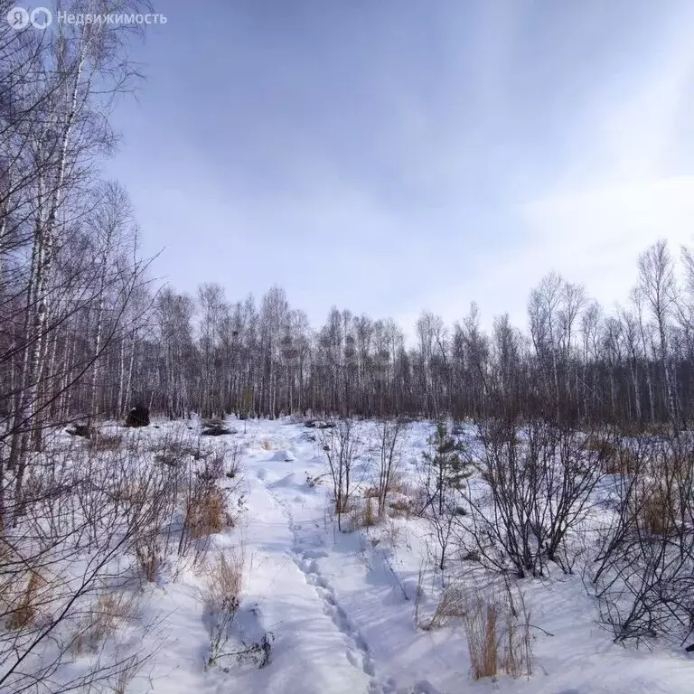 Участок в Тюменский район, рабочий посёлок Винзили (14 м) - Фото 1