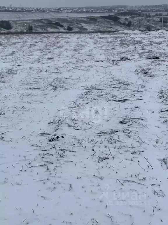 Участок в Белгородская область, Белгородский район, Головинское с/пос, ... - Фото 1