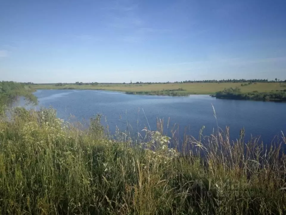 Участок в Новгородская область, Солецкий муниципальный округ, д. ... - Фото 0