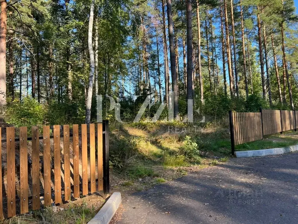 Участок в Ленинградская область, Приозерский район, Раздольевское ... - Фото 1