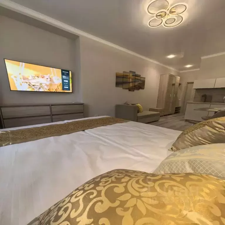 Студия Краснодарский край, Туапсе ул. Карла Маркса, 4/2 (22.0 м) - Фото 2