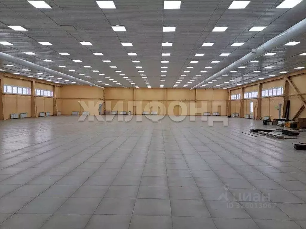 Торговая площадь в Новосибирская область, Бердск Первомайская ул., 12 ... - Фото 1