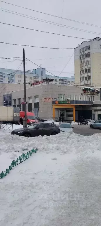 Помещение свободного назначения в Новосибирская область, Новосибирск ... - Фото 1